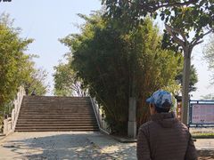 -洱海月湿地公园