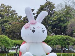 -红梅公园