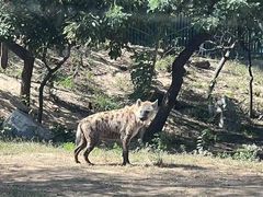 -秦皇岛野生动物园