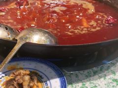 -五里关火锅(牛市口店)