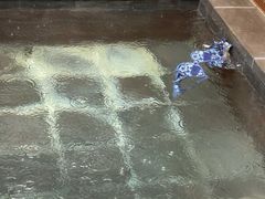 -大连步云山老汤度假山庄
