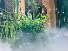 -宴周康·精致江浙菜(周浦店)
