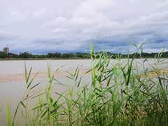 -鹤之洲湿地公园