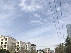 -唐城墙遗址公园
