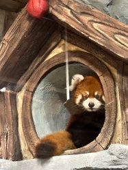 -Zoolung Zoolung动物主题公园(海信广场店)