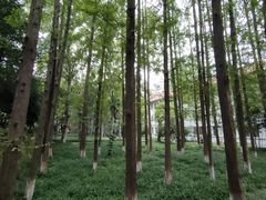 -中南财经政法大学(首义校区)