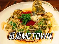 -觅唐MITONG(鸟巢店)