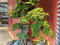 -阿伟海鲜楼·福建菜(延寿店)