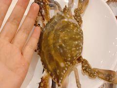 -芭菲盛宴·环球美食(锦城万达广场店)
