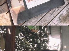 -二楼南书房