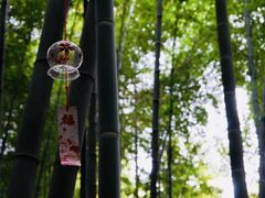 -苏州环秀晓筑养生度假村