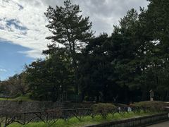 -名古屋城