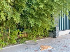 -CHURCH  BISTRO 教堂·餐吧