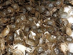 -欢乐牧场海鲜烤肉自助(牡丹园店)