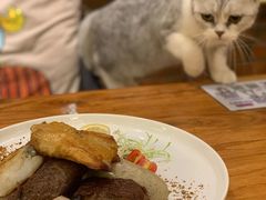 -more than meow吴止猫主题餐厅(承德 中船汇店)