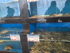 -华盛丰温州大排档(东三环南路店)