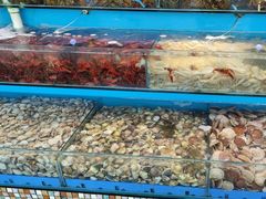 -港畔赶海蒸汽海鲜烧烤自助(仙螺岛店)