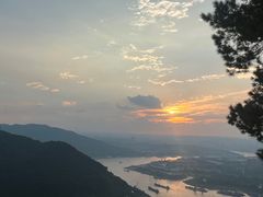 -铁山坪森林公园