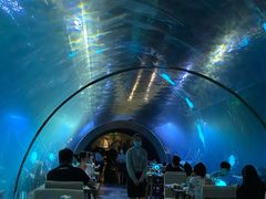 -海棠湾洲际-涛·海底餐厅·美人鱼·自助餐·海底隧道