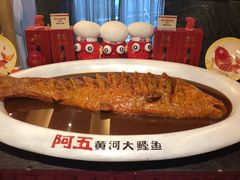 -阿五黄河大鲤鱼(纬三路店)