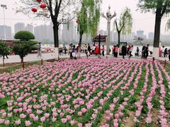 -咸阳湖景区-统一广场