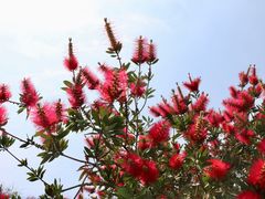 -桤木河湿地公园