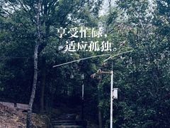 -风云岭森林公园