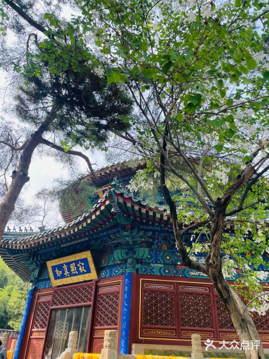 潭柘寺景区图片