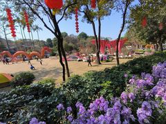 -广州市白云山风景名胜区