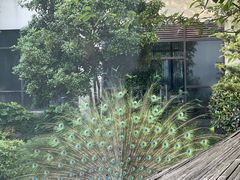 -苏州环秀晓筑养生度假村