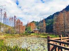 -广州市石门国家森林公园