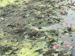 -中国客家博物馆