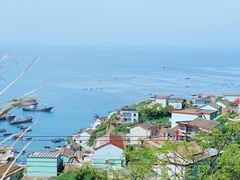-枸杞岛