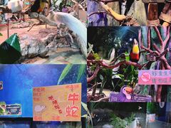 -正佳雨林生态植物园
