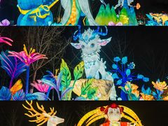 -武汉园博园(武汉自然博物馆)