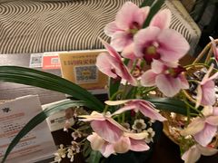 -施奈儿.洗头頭療.按摩SPA.采耳(上梅林店)
