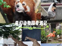 -灵玲国际马戏城