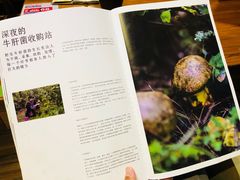 -云海肴·汽锅鸡·云南菜(天津国金汇店)