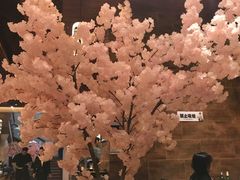 -樱之盛宴·蟹料理海鲜自助(前进大街店)