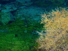 -叠溪松坪沟景区