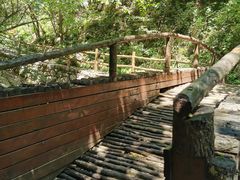 -青峰峡国家森林公园