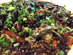-兔槽江湖菜·重庆璧山兔(水围店)