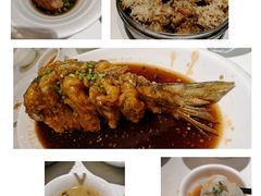 -金春禧(世茂国际广场店)