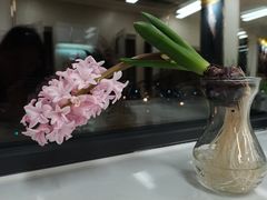 -中田·健身+普拉提(北京通州运河店)