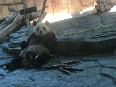 -泉州海丝野生动物世界