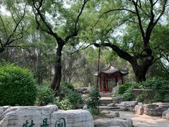 -国家植物园南园