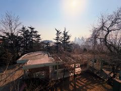 -观象山公园