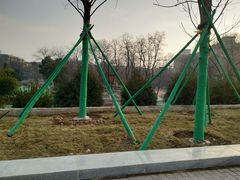 -莲湖公园