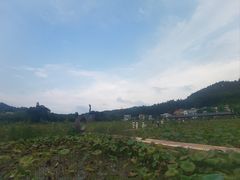 -红山村