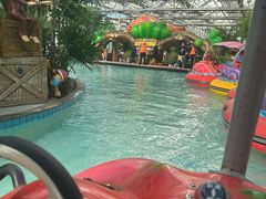 -南宫五洲植物乐园